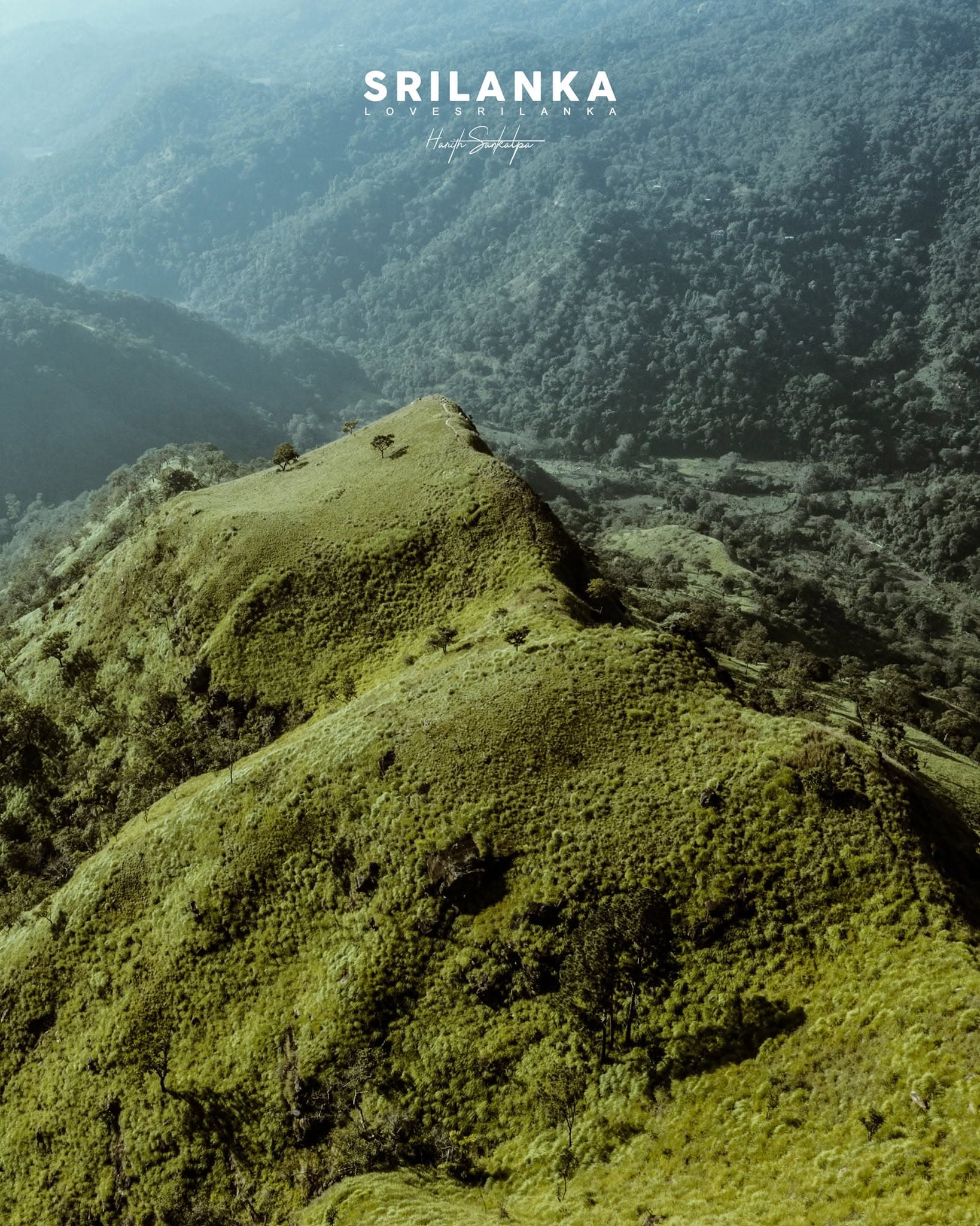 ESSENCE OF SRI LANKA